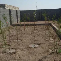 چهاردیواری باغ نقلی۲۶۰ متری در جوزدان|فروش دفتر صنعتی، کشاورزی، تجاری|اصفهان, سروشبادران|دیوار
