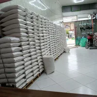 برنج محلی طارم دم‌سیاه کلاله سورت وبوجار تن اژ