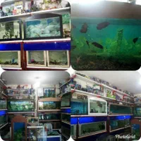 اکواریم برکه (کاشمر)