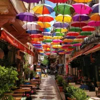 تور وان/ کنسرت ابی