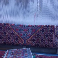 فرش نیمه کاره|فرش|سنندج, |دیوار