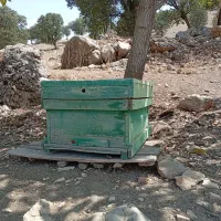 کندو زنبور