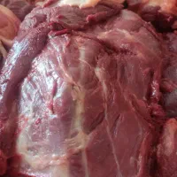 گوشت گوساله پیش ناف مایع کباب خوردگی شعله