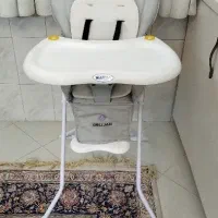 صندلی غذا دلیجان