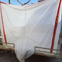 پشه بند سنتی خانواده