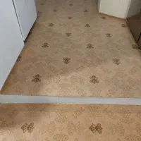 موکت|موکت|علی‌آباد کتول, |دیوار