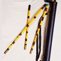 نوازنده نی و ترومپت