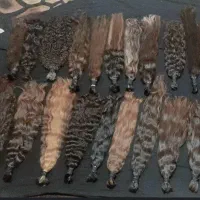 موی طبیعی