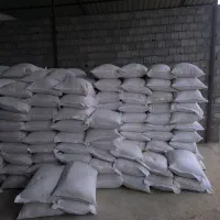 فروش بذر گندم