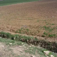 زمین-اجاره