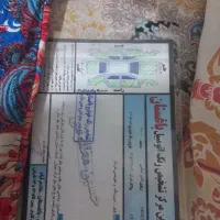 طبق برگ کارشناسی