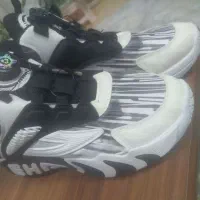 دو جفت کفش|کیف، کفش، کمربند|فاروج, |دیوار