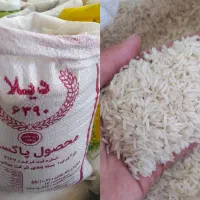 برنج پاکستانی ۳۸۶ دانه کوتاه