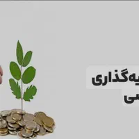 جذب سرمایه گذار|خدمات مالی، حسابداری، بیمه|تهران, اختیاریه|دیوار