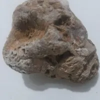 شهاب سنک