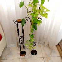 پایه گلدان و پایه شمع دکوری
