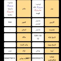 فروش اسب|اسب و تجهیزات اسب‌سواری|شوشتر, |دیوار