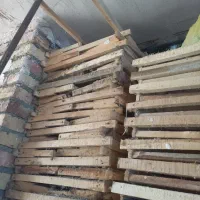 کندو وقوطی وبدنه|لوازم جانبی حیوانات|ماکو, |دیوار