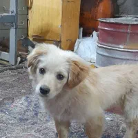 فروشی قیمت مناسب