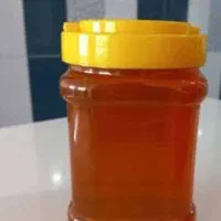 عسل کوهی