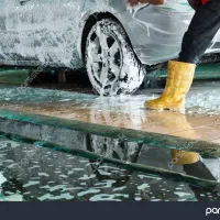 نیروی کار بلد کارواش