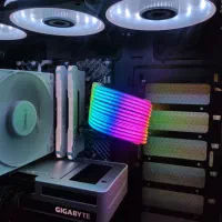 24pin rgb liam li