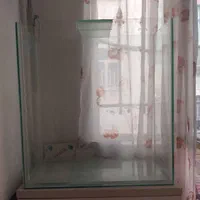 آکواریوم|ماهی|قدس, شهر‌قدس|دیوار