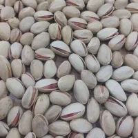 فروش ویژه پسته رفسنجان