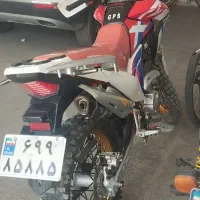 تریل برمودا 250فسا