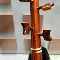 سه تار|سازهای سنتی|پاکدشت, پاکدشت (مامازند)|دیوار