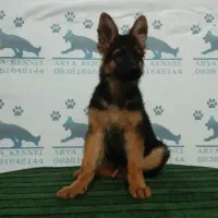 ۲۰گرم انگشتر دست ساز سنگ جواهری