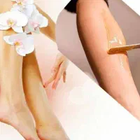 نیازمند مدل