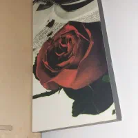 حراج وسایل|جاروبرقی، جارو شارژی، بخارشو|اصفهان, جلالیه|دیوار