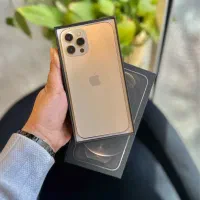 ۱۲ پرومکس طلایی