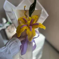 دسته گل های پیپ پاک کنی