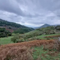 ۴۰۰۰۰متر زمین مستعد اقامتگاه بوم گردی( مشارکت)