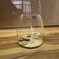 ظروف|ظروف سرو و پذیرایی|اصفهان, شهرک امام خمینی|دیوار