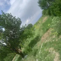 زمین باغ ویلا