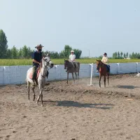 آموزش سوارکاری
