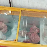 یخچال خوابیده درحدنو