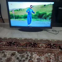 تلوزیون