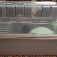 قفس و باکس همستر با کلیه وسایل فوری|لوازم جانبی حیوانات|تهران, ایوانک|دیوار