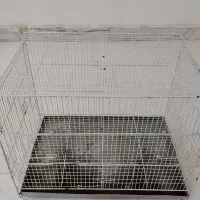 قفس پرنده