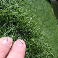 انبار مرکزی چمن مصنوعی وفنس|خدمات باغبانی و درختکاری|ری, صالح‌آباد شرقی|دیوار