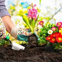 خدمات باغبانی نمکلان سرخاب تهراندشت