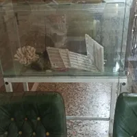 آکواریم  حرفه ای باپایه آلومینیومی و دکوراسیون