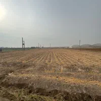 فروش-زمین-کشاورزی