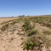 فروش باغ انگور9271مترمربع داری سم اب