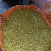 کاه یونجه|لوازم جانبی حیوانات|یاسوج, |دیوار