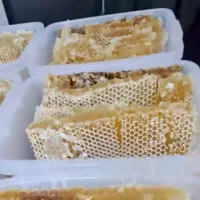 عسل کوهای کردستان|خوردنی و آشامیدنی|رشت, گیل|دیوار